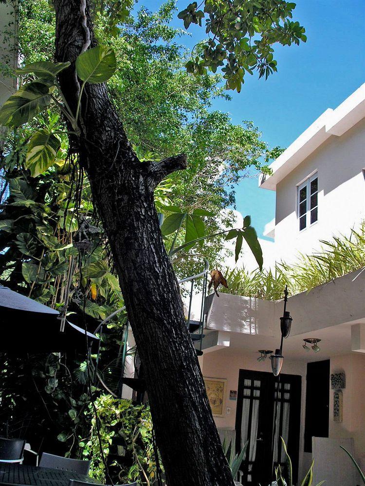 Oceana Hostal Playero San Juan Eksteriør billede